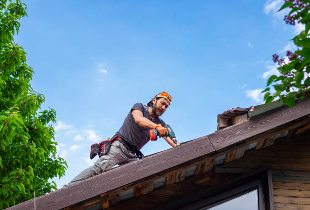 Best Asphalt Shingle Roofing  in Hawthorn Woods, IL